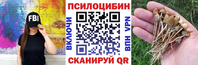 Псилоцибиновые грибы MAGIC MUSHROOMS Бокситогорск